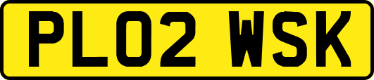 PL02WSK