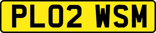 PL02WSM