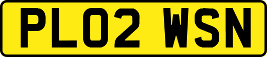 PL02WSN