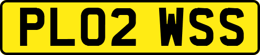 PL02WSS