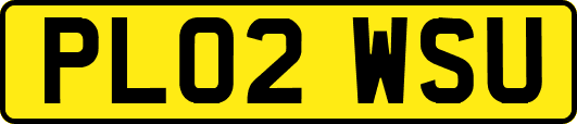 PL02WSU