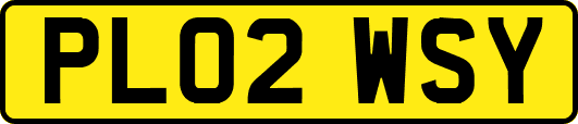 PL02WSY