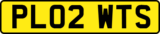 PL02WTS