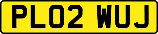 PL02WUJ