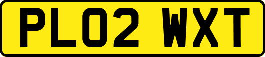PL02WXT
