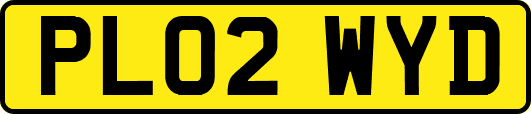 PL02WYD