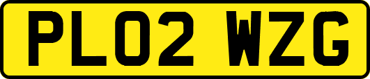 PL02WZG