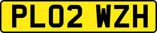 PL02WZH