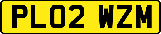 PL02WZM