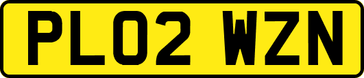 PL02WZN