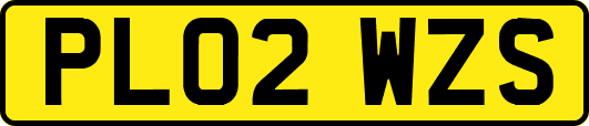PL02WZS