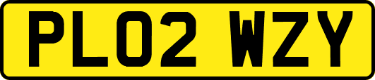 PL02WZY