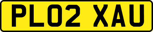 PL02XAU