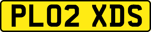 PL02XDS