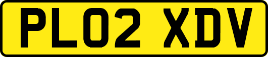 PL02XDV