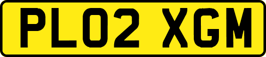 PL02XGM