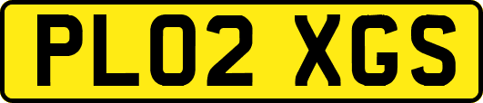 PL02XGS