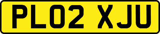 PL02XJU