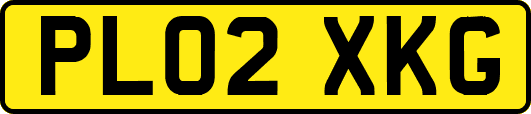 PL02XKG