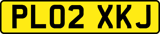 PL02XKJ