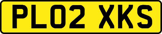 PL02XKS