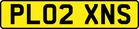 PL02XNS