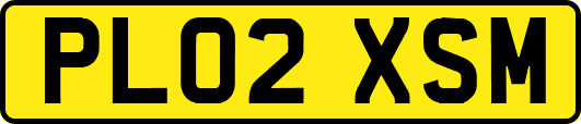 PL02XSM