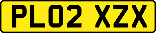 PL02XZX