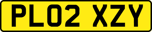 PL02XZY