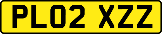 PL02XZZ