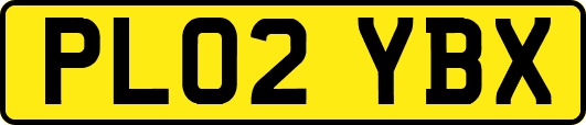 PL02YBX