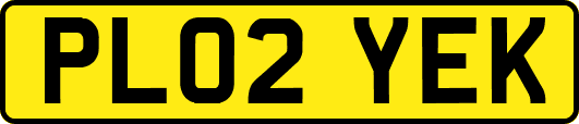 PL02YEK
