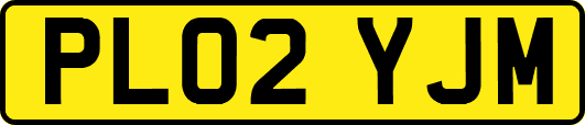 PL02YJM