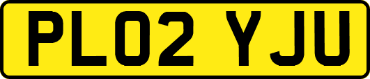 PL02YJU