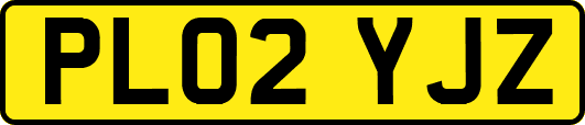 PL02YJZ