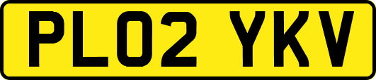 PL02YKV