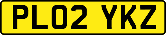 PL02YKZ