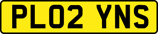 PL02YNS