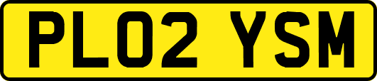 PL02YSM