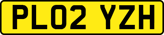 PL02YZH