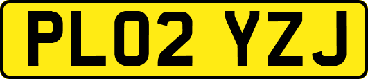 PL02YZJ