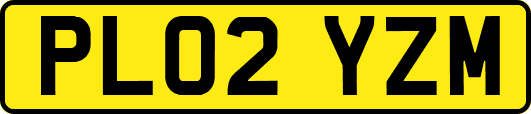 PL02YZM