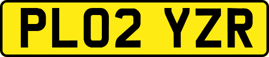 PL02YZR