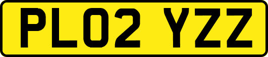 PL02YZZ