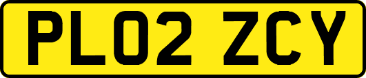 PL02ZCY