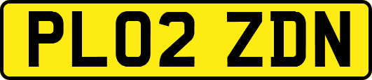 PL02ZDN
