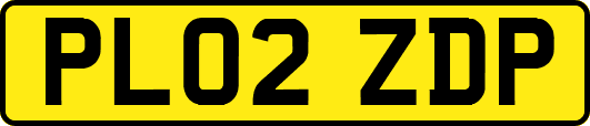 PL02ZDP