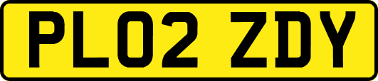 PL02ZDY