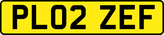PL02ZEF