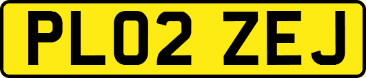 PL02ZEJ
